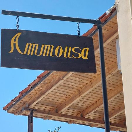 Ammousa Hotel Apartments Lixouri Esterno foto