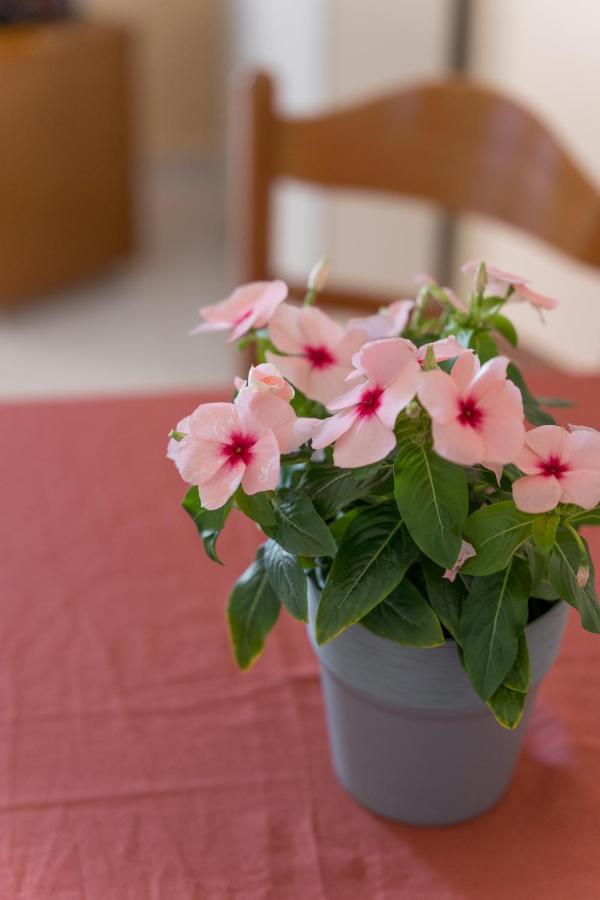 Ammousa Hotel Apartments Lixouri Esterno foto